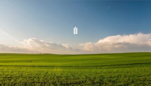 Seed Team Training Course